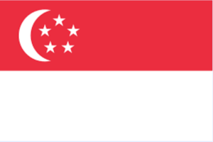 Singapore flag design